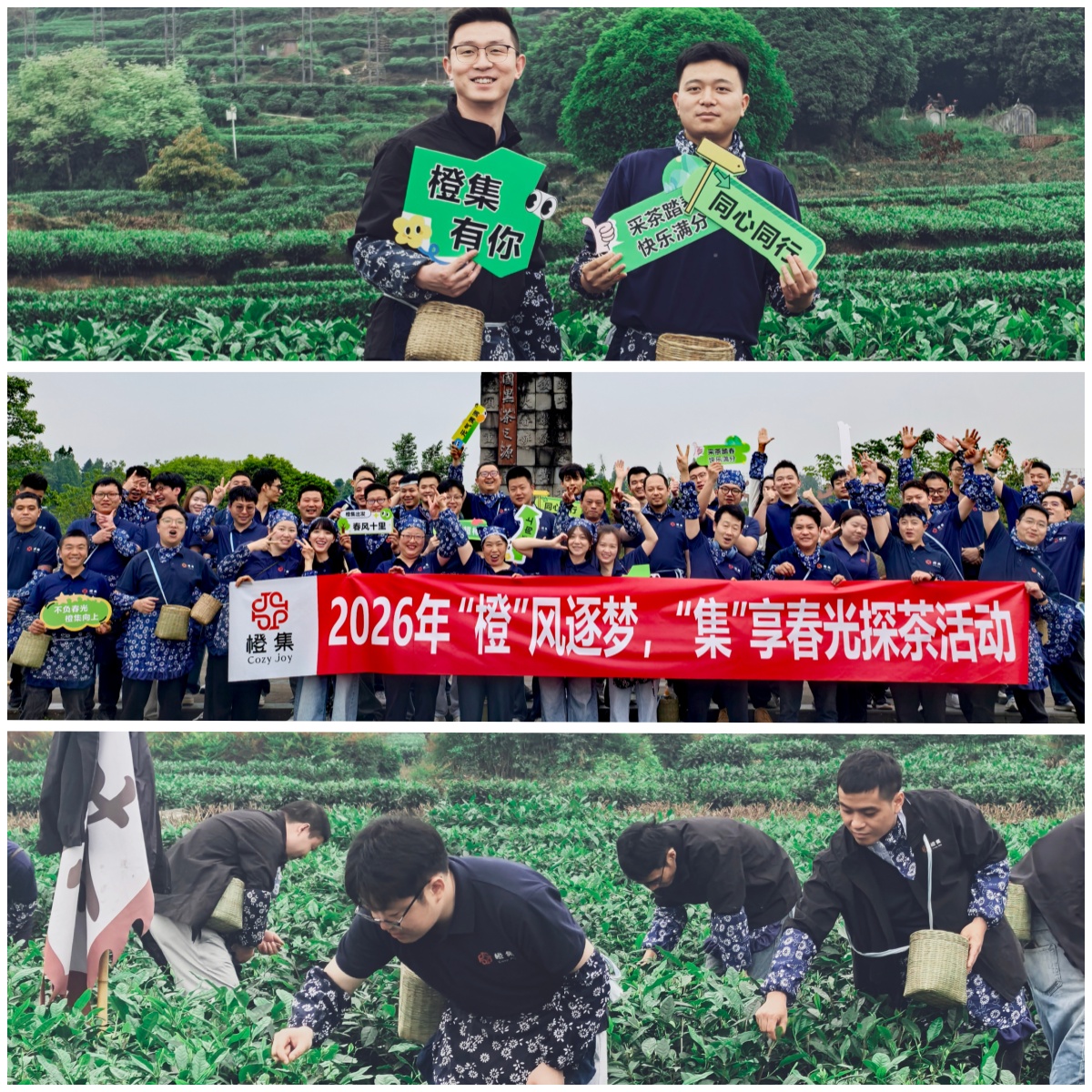 橙集暖通春日团建，茶香里凝聚服务初心！