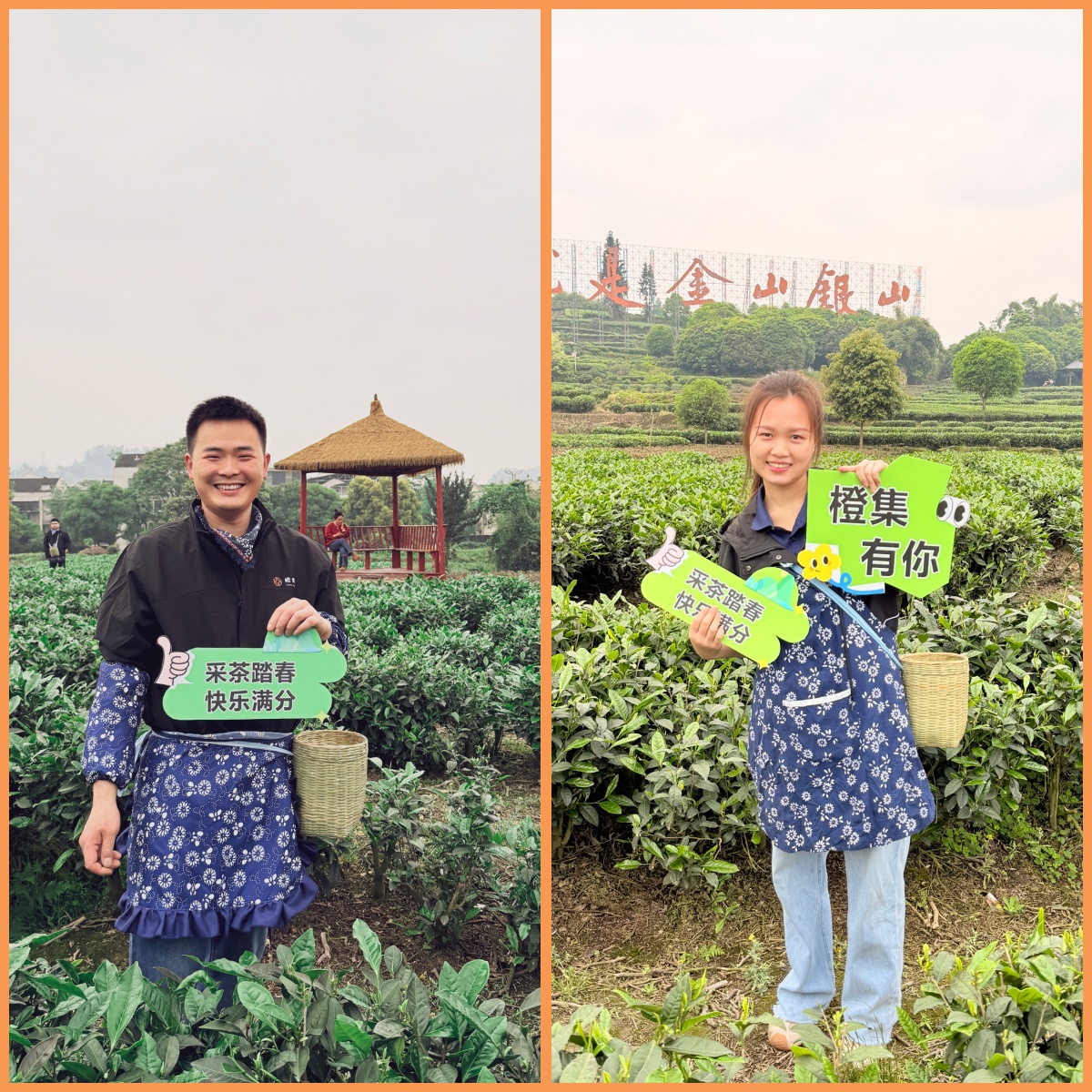 橙集暖通春日团建，茶香里凝聚服务初心！