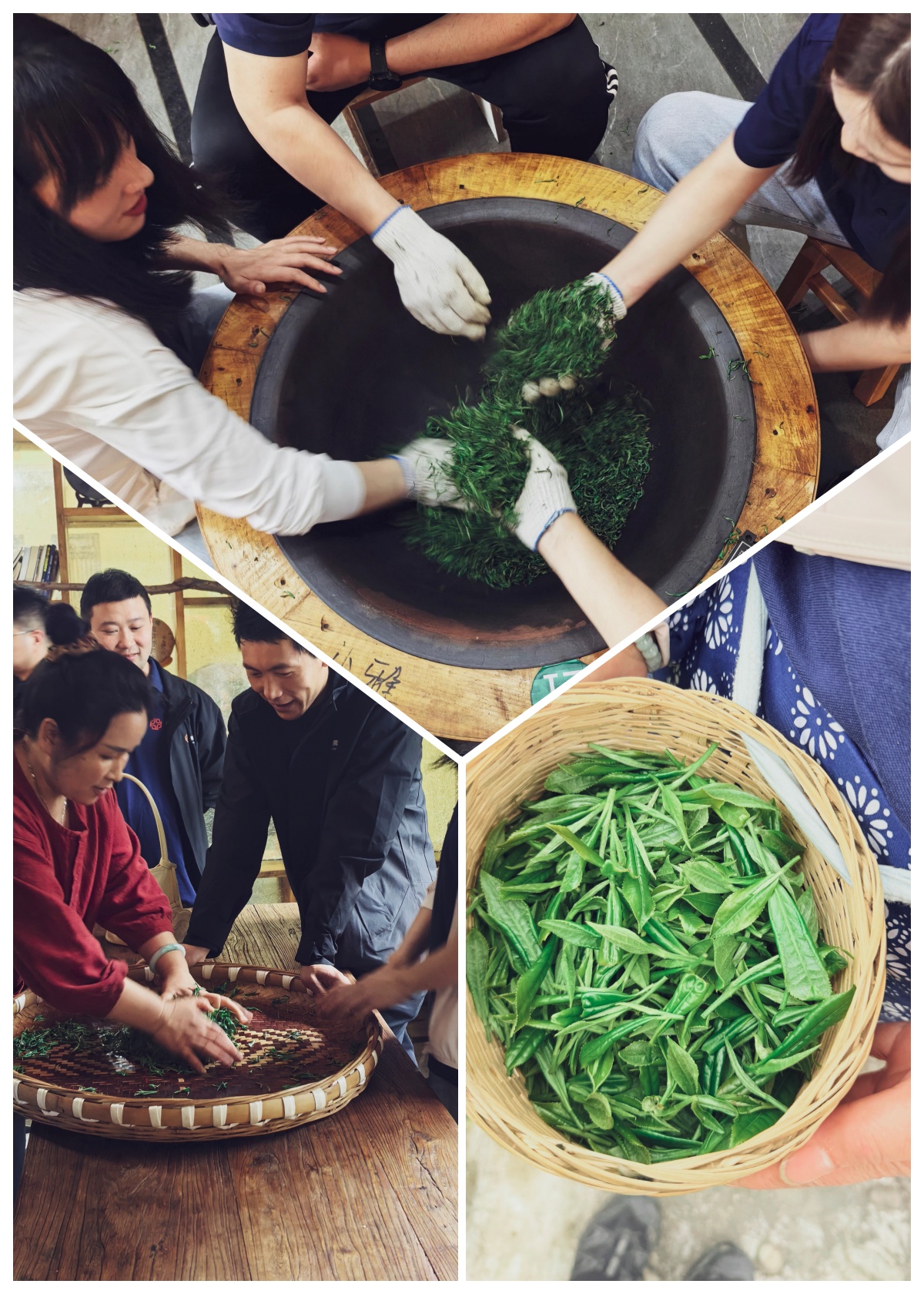 橙集暖通春日团建，茶香里凝聚服务初心！