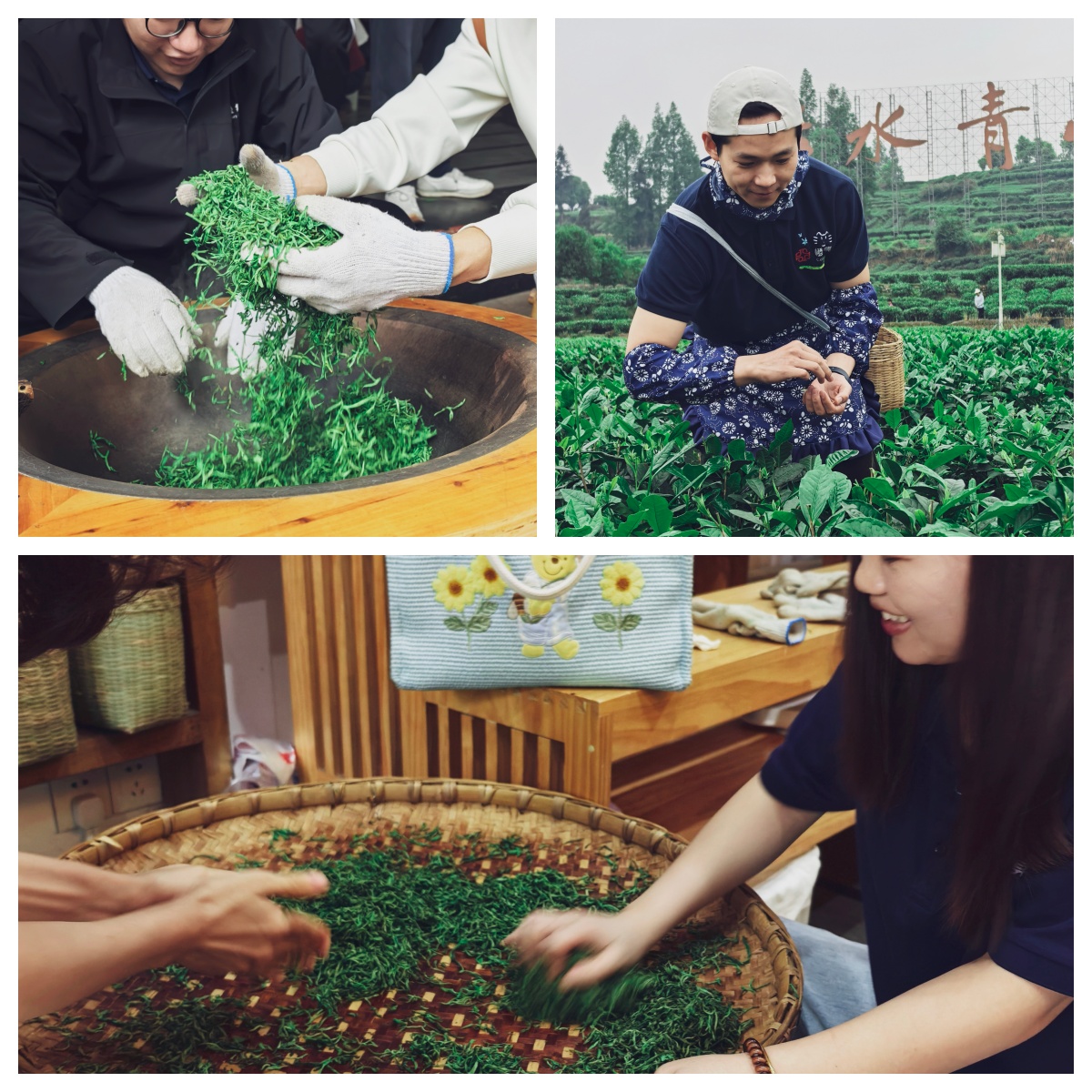 橙集暖通春日团建，茶香里凝聚服务初心！